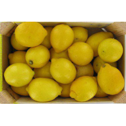 Citron Primo Calibre 4 catégorie 1 - 6 kg Espagne