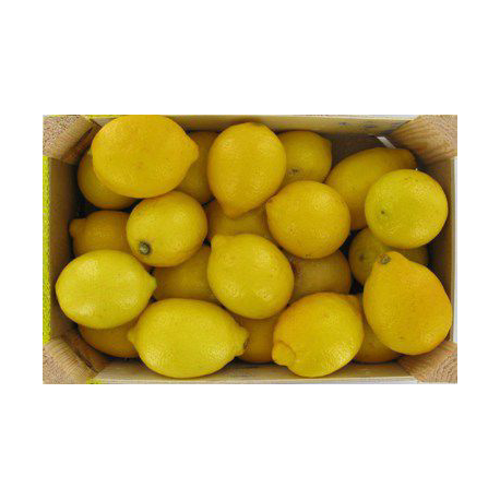 Citron jaune (calibre moyen), Espagne