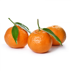 Mandarine Orri Calibre 1X Catégorie 1 - 5 kg Israël (Vendu au Colis)